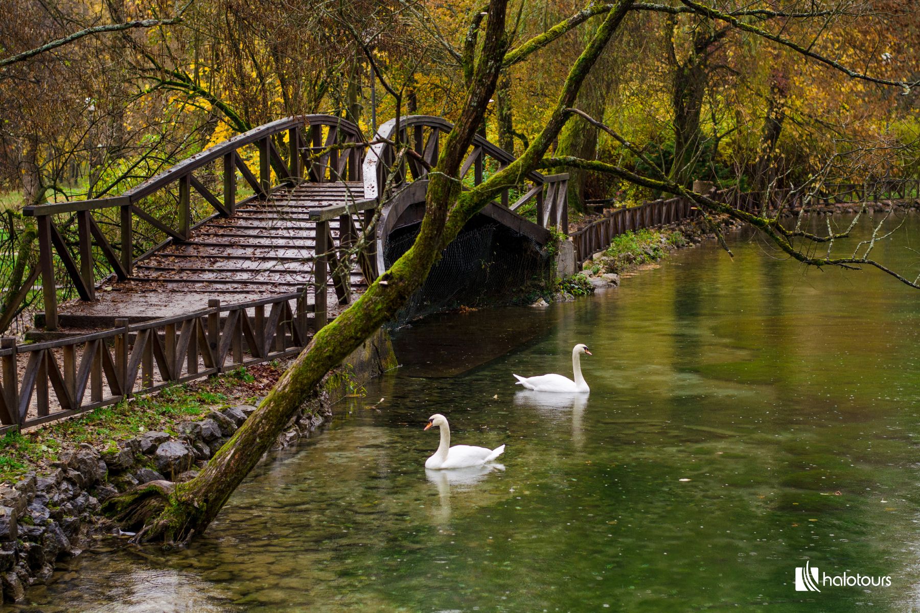 vrelo bosne 2